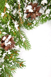 Similar image 1579846