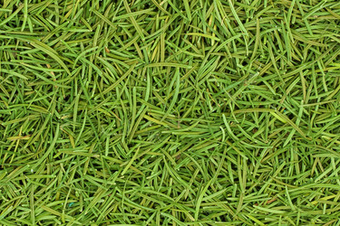 Similar image 1579849