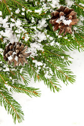 Similar image 1579850