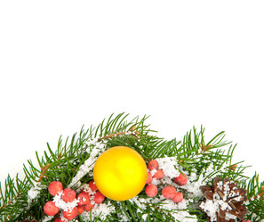 Similar image 1579853