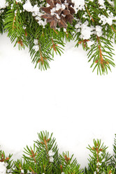 Similar image 1579857