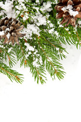 Similar image 1579863