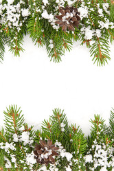 Similar image 1579865