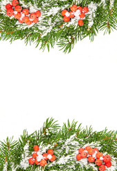 Similar image 1579870