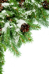 Similar image 1579896