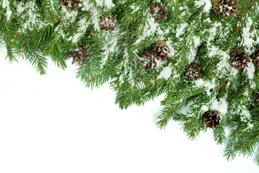 Similar image 1579897