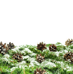 Similar image 1579899