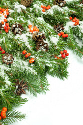 Similar image 1579902