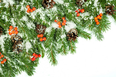 Similar image 1579907