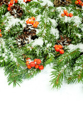 Similar image 1579908