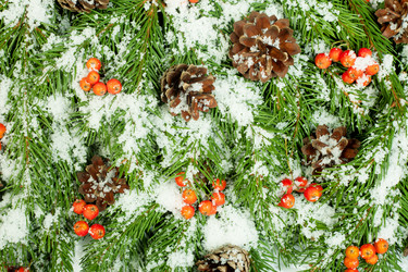 Similar image 1579909