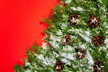 Similar image 1579914