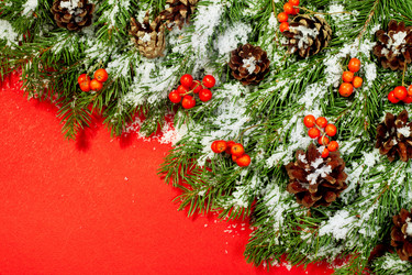 Similar image 1579916