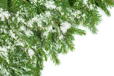 Similar image 1579923