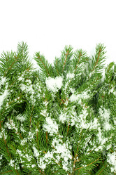 Similar image 1579924