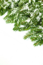 Similar image 1579925