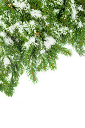 Similar image 1579926