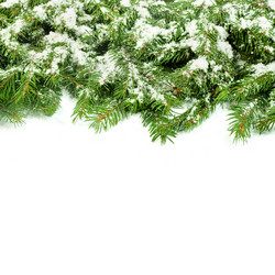 Similar image 1579927