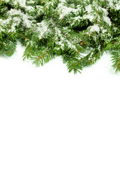 Similar image 1579928