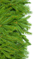 Similar image 1579955