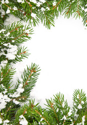 Similar image 1579962