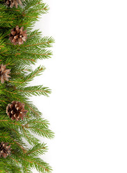 Similar image 1579965