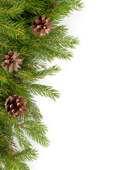 Similar image 1579967