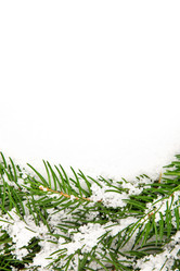 Similar image 1579969