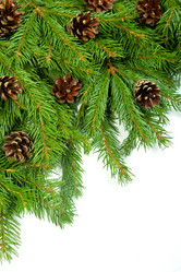 Similar image 1579971