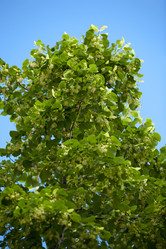 Similar image 1580026