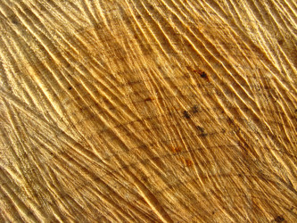 Similar image 1580106