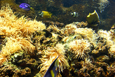 Similar image 1580161