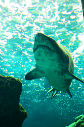 Similar image 1580166