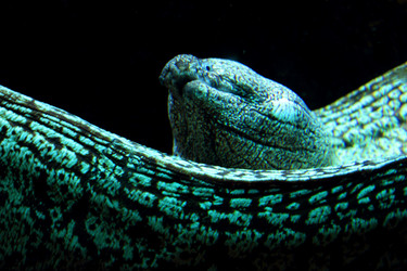 Similar image 1580167