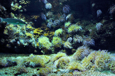 Similar image 1580168