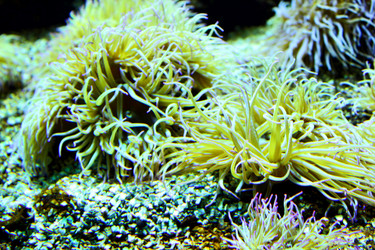 Similar image 1580169