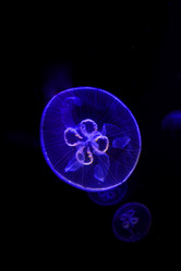 Similar image 1580170