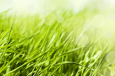 Similar image 1580197