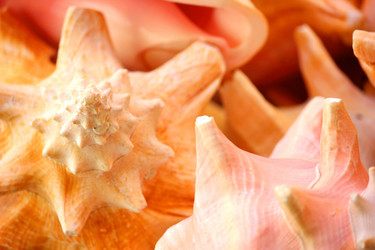 Similar image 1580222