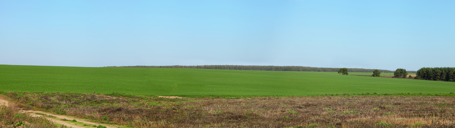 Similar image 1580415