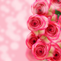 Similar image 1580417