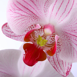 Similar image 1580421