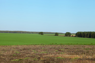 Similar image 1580424