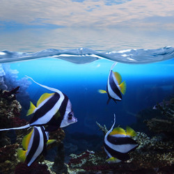 Similar image 1580437