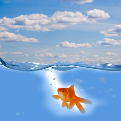 Similar image 1580446