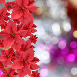 Similar image 1580449