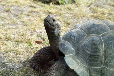 Similar image 1580450