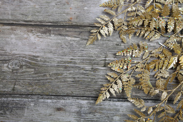 Similar image 1580454