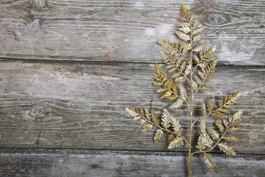 Similar image 1580461