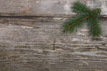 Similar image 1580464